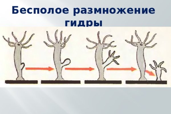 Kraken даркнет рынок ссылка