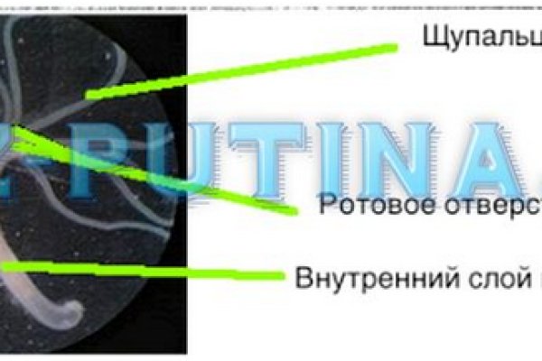 Спрут мега кракен