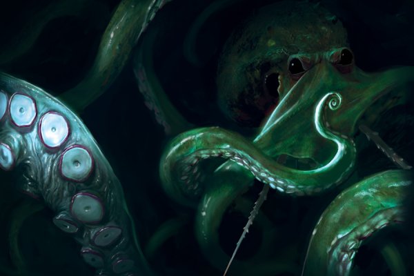 Kraken 12g