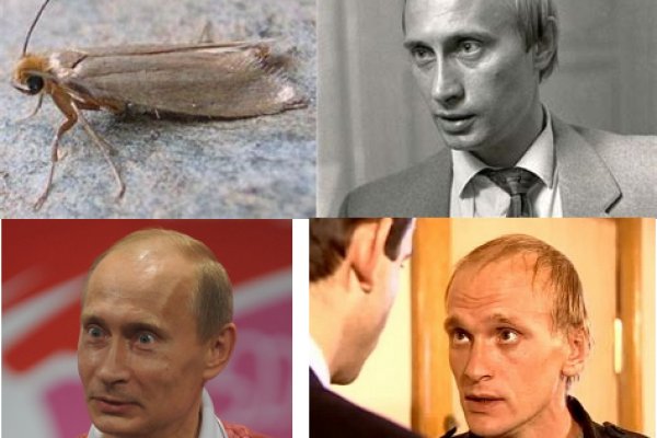 Замена гидры