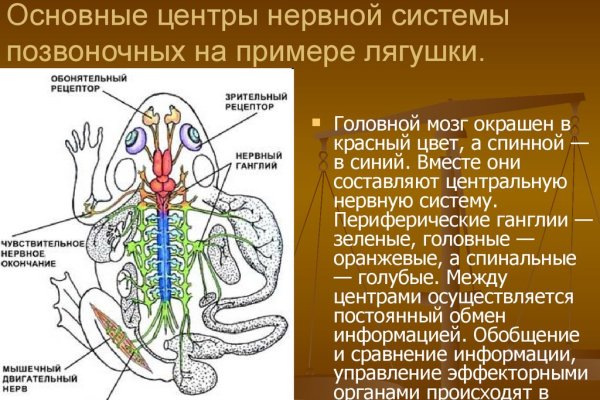 Кракен мп