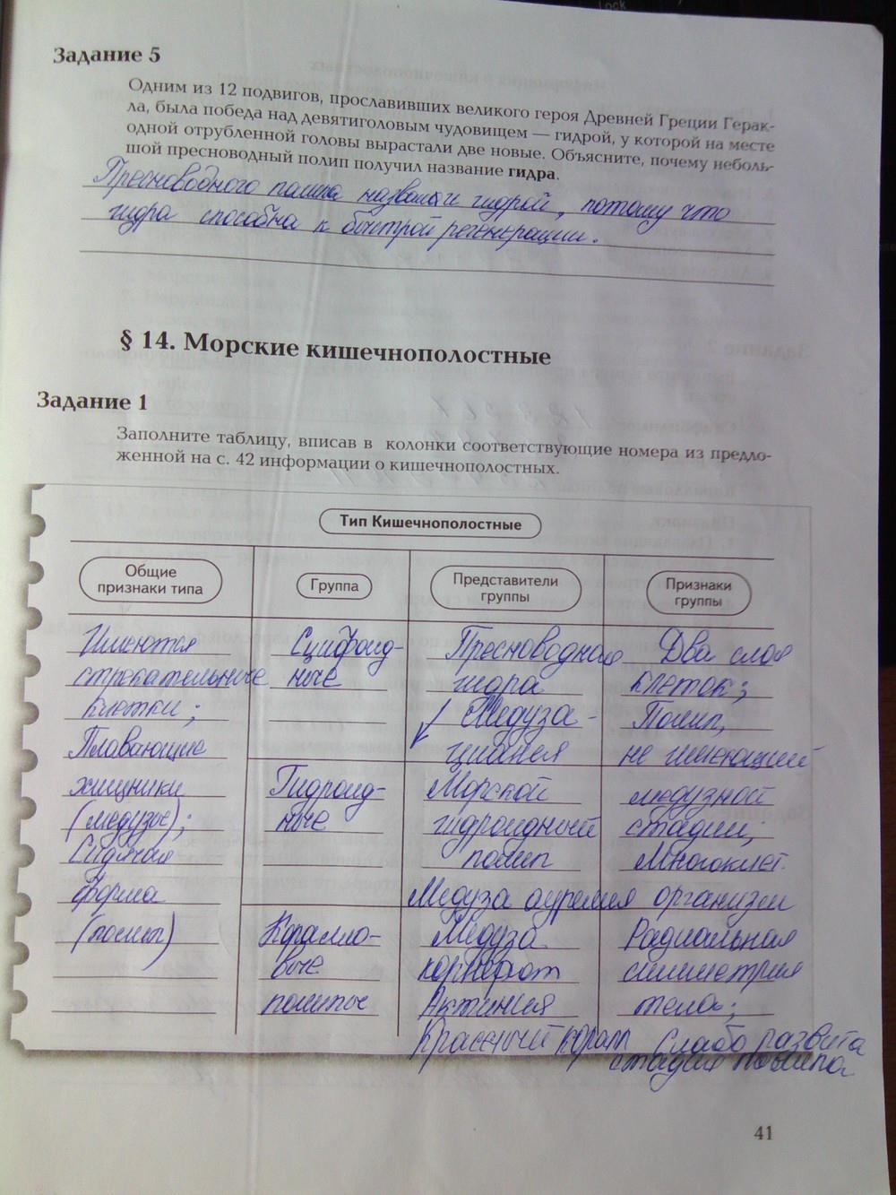Mega market ссылка