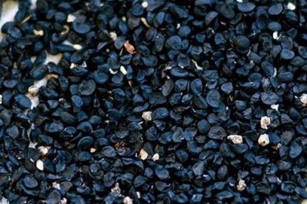 Kraken onion вход