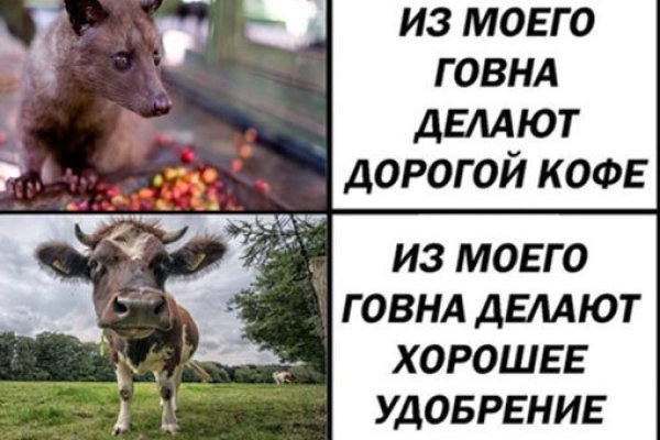 Как восстановить аккаунт на кракене даркнет