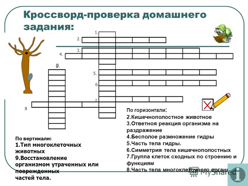 Кракен ссылка pw